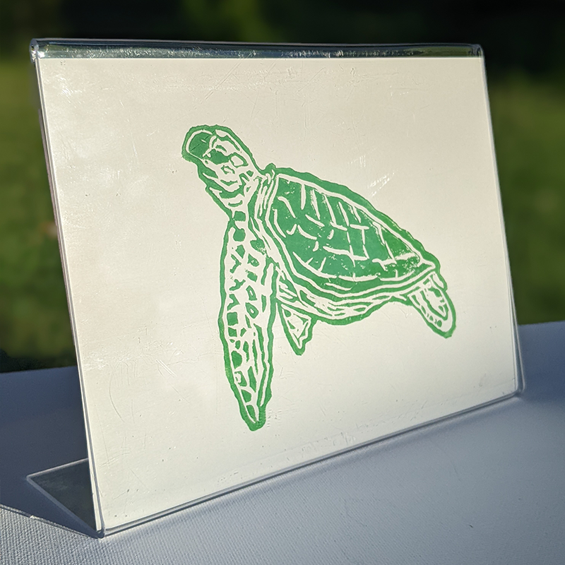 Green Turtle Cream Greeting Card